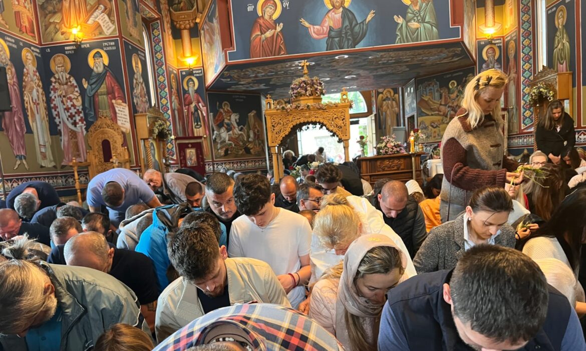 {{brizy_dc_image_alt entityId=