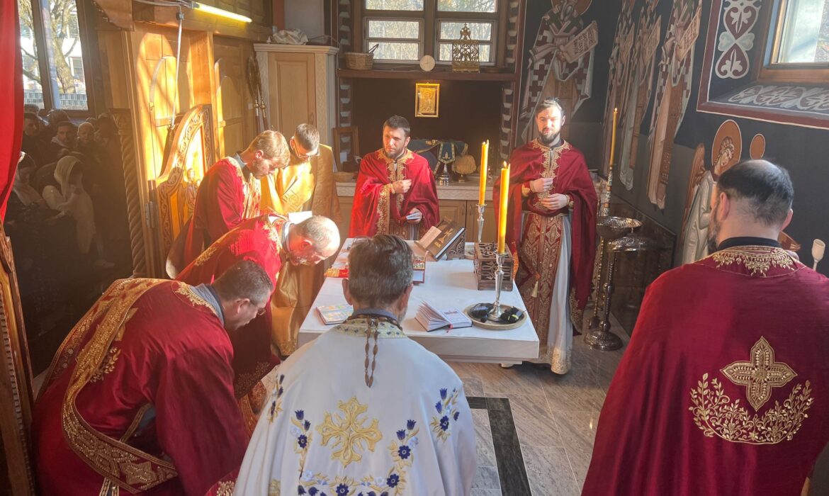 {{brizy_dc_image_alt entityId=