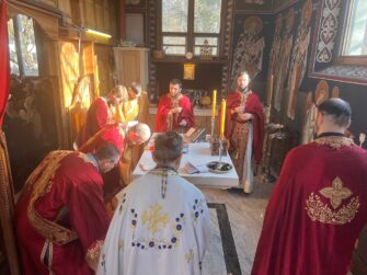 {{brizy_dc_image_alt entityId=