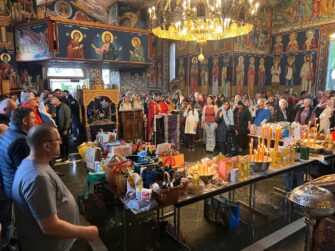 {{brizy_dc_image_alt entityId=