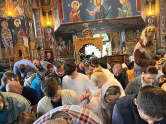 {{brizy_dc_image_alt entityId=