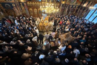 {{brizy_dc_image_alt entityId=