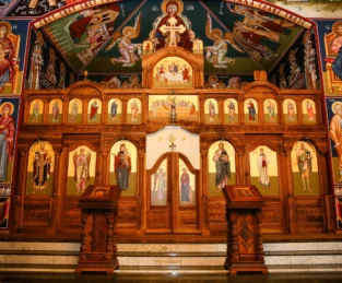 {{brizy_dc_image_alt entityId=