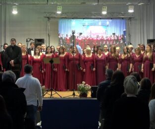 {{brizy_dc_image_alt entityId=