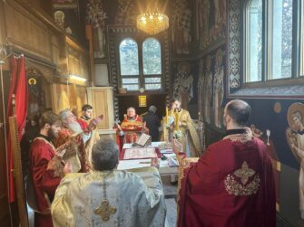 {{brizy_dc_image_alt entityId=