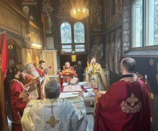 {{brizy_dc_image_alt entityId=