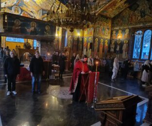 {{brizy_dc_image_alt entityId=