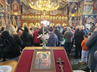 {{brizy_dc_image_alt entityId=