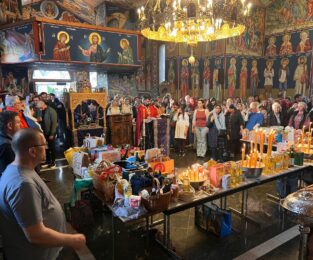 {{brizy_dc_image_alt entityId=