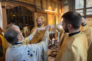 {{brizy_dc_image_alt entityId=