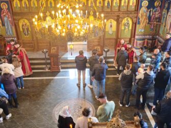 {{brizy_dc_image_alt entityId=