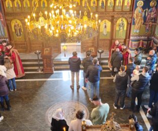 {{brizy_dc_image_alt entityId=