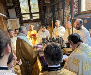 {{brizy_dc_image_alt entityId=