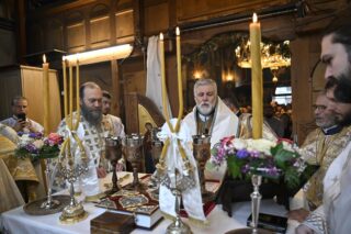 {{brizy_dc_image_alt entityId=