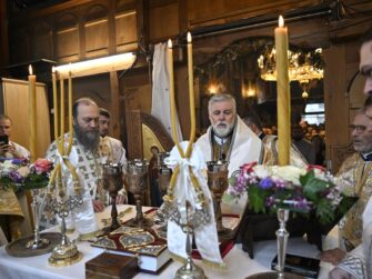 {{brizy_dc_image_alt entityId=